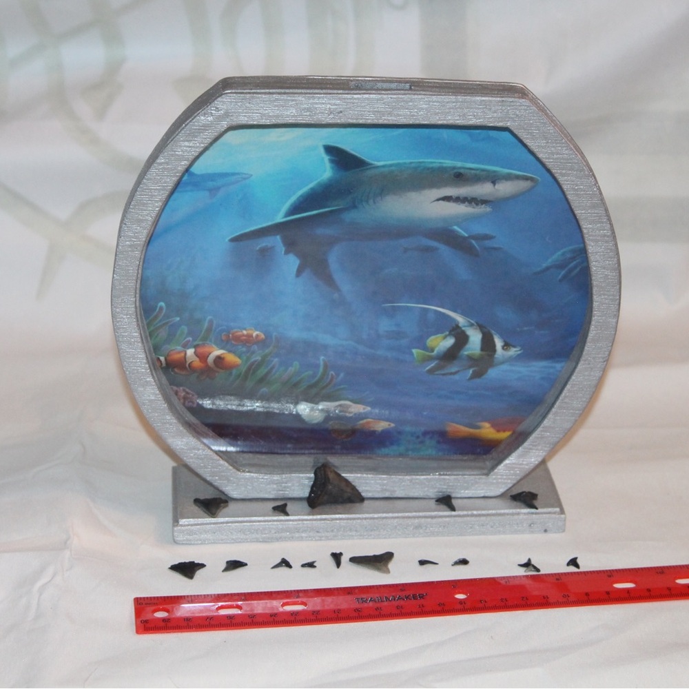 Oceanic Scene Shark teeth holders or piggy banks.